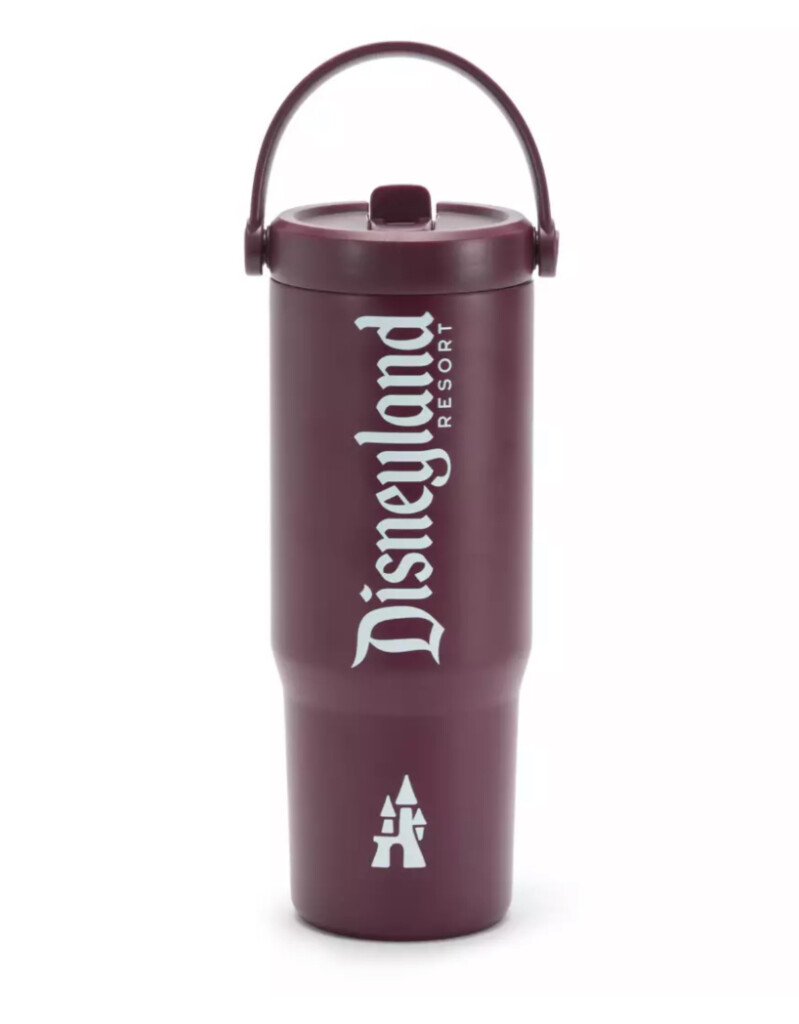 Disneyland Gothic D Accessories