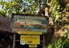 New Disney Patent Could Alert Your Phone When Animals Are Active at Animal Kingdom Kilimanjaro Safaris