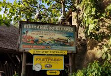 Kilimanjaro Safaris