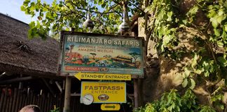 Kilimanjaro Safaris