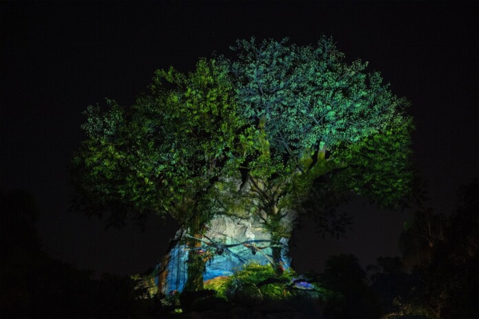 New DVC Moonlight Magic Dates Announced for EPCOT and Animal Kingdom New DVC Moonlight Magic Dates Announced for EPCOT and Animal Kingdom