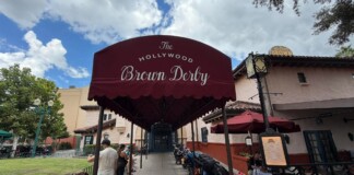 Refurbished Hollywood Brown Derby Lounge is Now Open at Disney's Hollywood StudiosRefurbished Hollywood Brown Derby Lounge is Now Open at Disney's Hollywood Studios