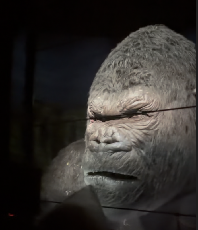 King Kong Animatronic Allegedly Damaged in Fire as Islands of Adventure Ride Remains Closed King Kong Animatronic Allegedly Damaged in Fire as Islands of Adventure Ride Remains Closed