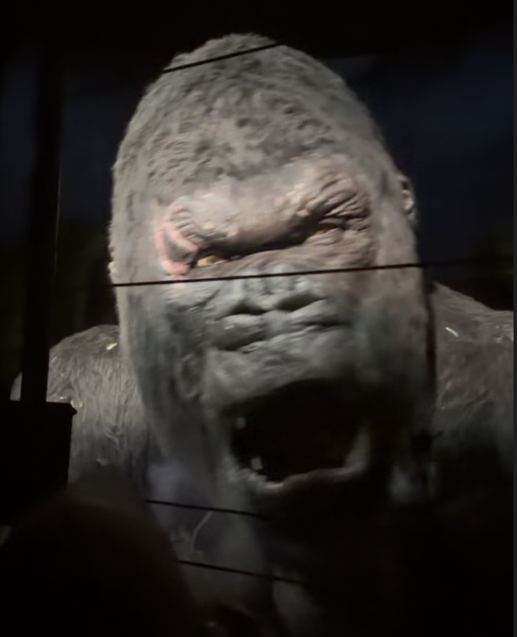 Skull Island: Reign of Kong Reopens at Islands of Adventure Without Giant Animatronic Skull Island Reign of Kong Reopens at Islands of Adventure Without Giant Animatronic