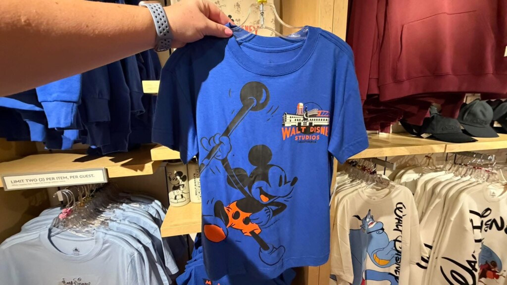 Walt Disney Studios Merchandise Arrives at The Magic of Disney Animation