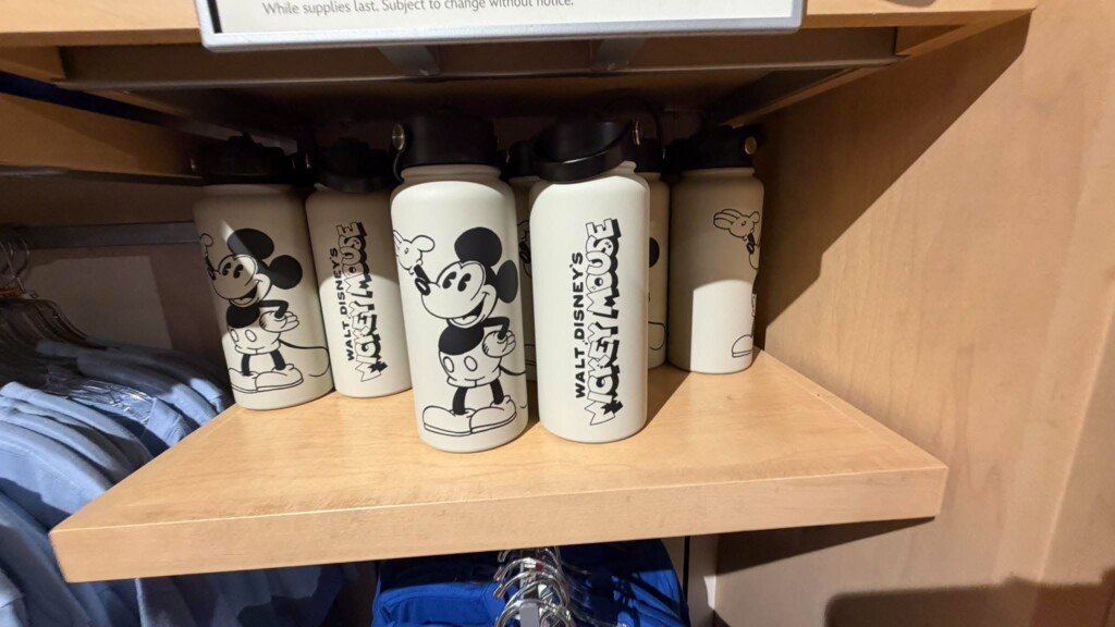 Walt Disney Studios Merchandise Arrives at The Magic of Disney Animation
