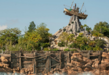 Walt Disney World Reportedly Removes Beach Wheelchairs From Water Parks