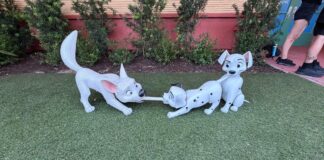 doglead